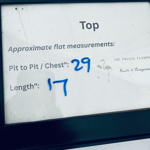 Windsor Sheer Mesh Button Top Cream Long Sleeve Romantic Fairy XS Silk Blend - Picture 9 of 9